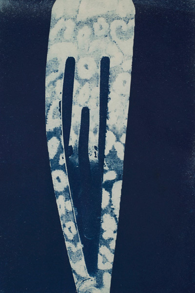 Cyanotype of a hairslide