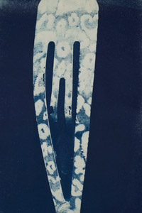 cyanotype of a found hairslide