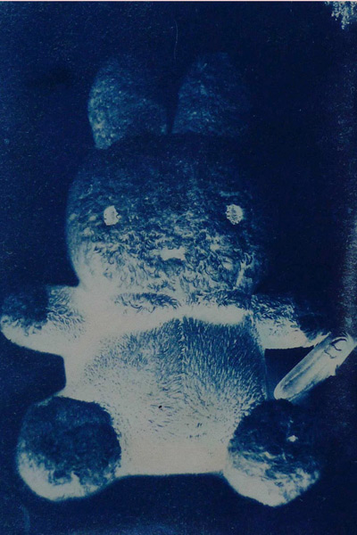 cyanotype of a soft toy called miffy