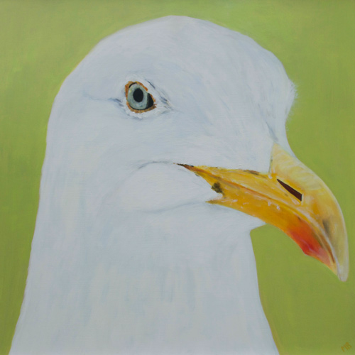 seagull napolean