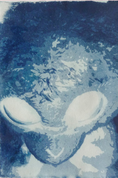 Cyanotype of a alien looking soft toy